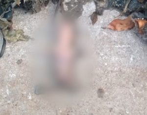 Feto é encontrado em estação de tratamento de água em Londrina