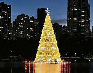 Prefeitura testa iluminação da árvore de Natal do Igapó; veja fotos