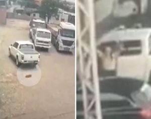 Empresário solto após matar cão atropelado, volta ao local para comemorar no PR; VÍDEO
