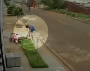 Homem é flagrado espancando o próprio cãozinho no Norte do PR