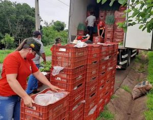 MST distribui 15 toneladas de alimentos para famílias carentes de Londrina