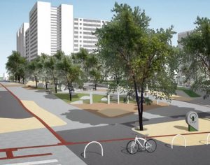 Prefeitura recebe propostas para Bosque Central de Londrina