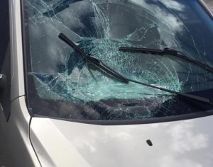 Motorista que atropelou jovem em Cambé se apresenta na delegacia