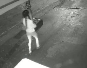 Travesti atropelada de propósito passa bem; polícia localizou motorista