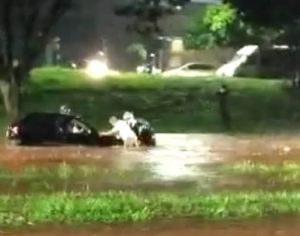 Chuva causa estragos e alagamentos em Londrina; veja os vídeos