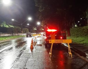 Londrina tem 7 pontos de alagamentos e 4 quedas de árvores após chuva