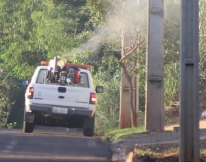 Londrina inicia aplicação do fumacê contra a dengue; veja os bairros