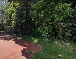 Homem é encontrado sem vida em mata na região leste de Londrina