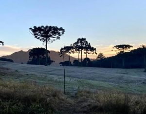 Sensação térmica atinge 5ºC nesta manhã de quinta em Londrina