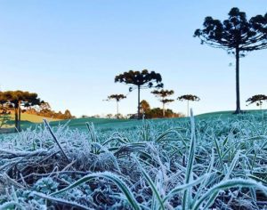 Cidade do Paraná registra temperatura de 0ºC; Londrina marca 9ºC