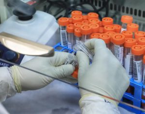 Londrina registra 14 mortes causadas por covid-19 em março