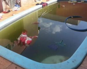 Criança de 2 anos morre afogada após cair em piscina em Londrina