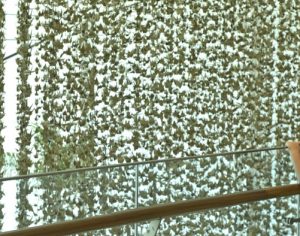 Shopping de Londrina cria cortina suspensa com 32 mil origamis