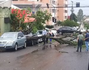 Chuva e ventos fortes causam estragos em Londrina nesta terça