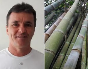 Professor da UEL ganha prêmio de melhor artigo sobre pesquisas com bambu