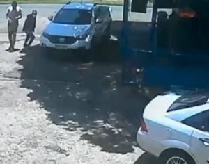 Cão é baleado ao tentar defender dono durante assalto em Londrina