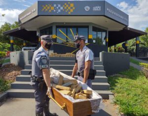 Polícia apreende caixão recheado de droga dentro de carro funerário de Londrina