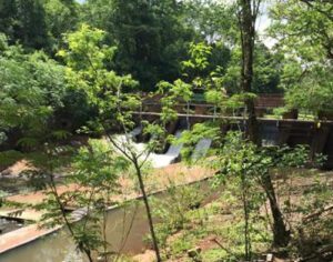 Mulher é encontrada morta em área próxima ao parque Arthur Thomas