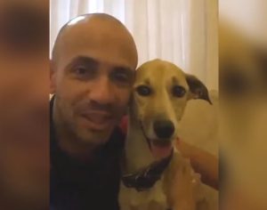 Cachorrinha que sumiu durante em conexão de voo da GOL é encontrada