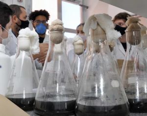 UEL tem 58 projetos contemplados pela Fundação Araucária