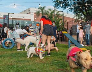 Carnaval: shopping de Londrina promove folia para pets e crianças