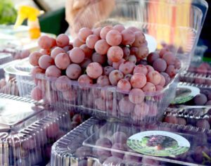 Feira da Uva é prorrogada até 15 de fevereiro em Londrina