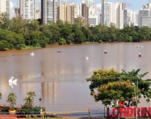 Pedalinhos: Londrinenses aproveitam nova atração no Lago Igapó