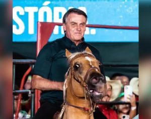 Foto de cavalo ‘assustado’ com Bolsonaro na ExpoLondrina viraliza na web