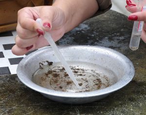 Veja os bairros com maior índice de infestação de dengue em Londrina