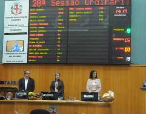 Vereadores aprovam projeto inconstitucional sobre linguagem neutra