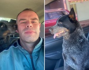 Policial encontra cachorro desaparecido desde janeiro em Londrina