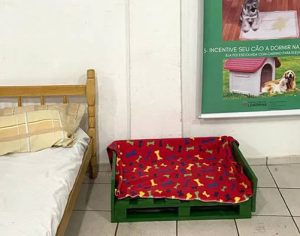 Londrina implanta abrigo para animais de pessoas em situação de rua