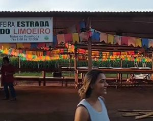 Feira do Limoeiro realiza festa junina neste sábado em Londrina; confira