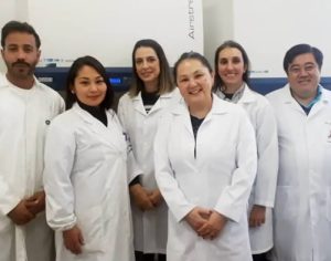 Pesquisadores da UEL identificam sete fármacos com potencial anti-covid