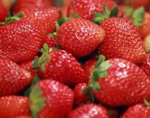 UEL: Projeto comercializa morangos sustentáveis para a comunidade