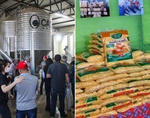 MST abre agroindústria de milho sem transgênicos em Londrina