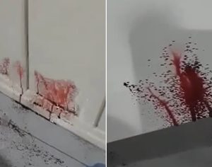 Sem mistério: entenda o motivo da casa que estaria ‘jorrando sangue’ em Cambé