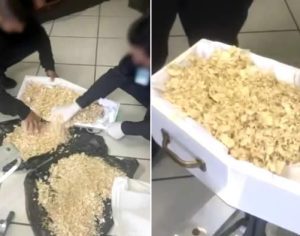 Família encontra serragem no lugar de corpo de bebê no Paraná
