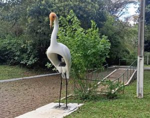 Parque Arthur Thomas inicia escolha do nome de estátua da Garça