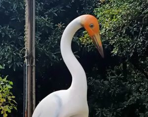 Parque Arthur Thomas divulga nome escolhido para Garça; confira