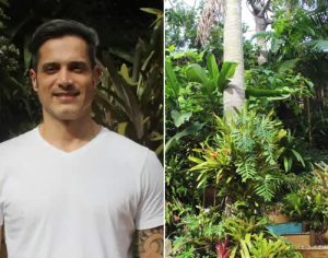 Projeto da UEL estuda potencial de plantas ornamentais