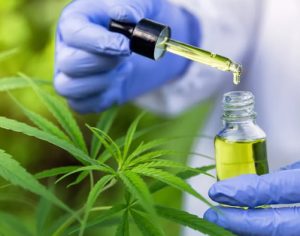 Londrina tem audiência pública sobre acesso a medicamentos à base de cannabis