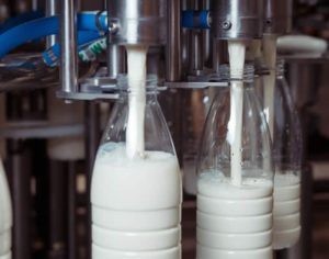 Cientistas da UEL analisam impactos da pandemia na produção de leite