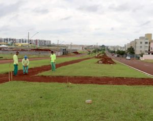 Iniciadas as obras para criação da ciclovia da Avenida Giocondo Maturi