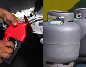 Petrobras reduz preço da gasolina e do gás de cozinha