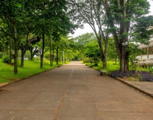 Professores da UEL fazem mobilização nesta quarta contra ‘perdas salariais’