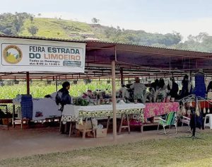 Festa junina da Estrada do Limoeiro acontece neste sábado; saiba mais