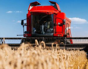 Projeto da UEL faz raio-x sobre evolução e manejo do solo no Norte do PR