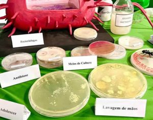 Vírus, bactérias e fungos: UEL leva experimentos para 75ª Reunião da SBPC