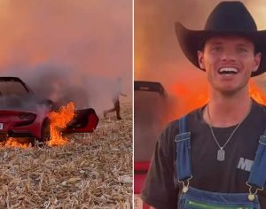 Vídeo: youtuber faz ‘graça’ em plantação e destrói Ferrari de R$ 2 milhões